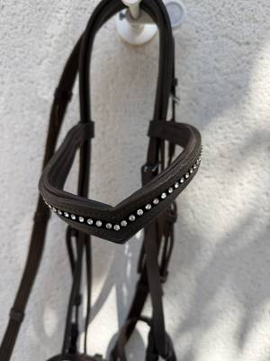 Bridon pour petit cheval