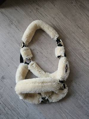 Licol Kentucky mouton