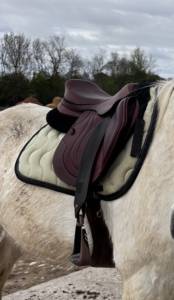 Tapis CSO Paddock Sport