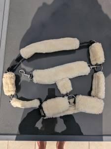 Licol Pénélope cob