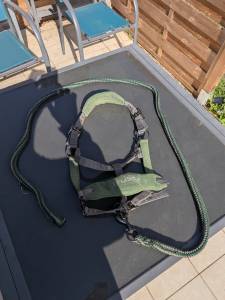 Licol Lemieux taille cob