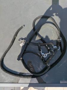Licol en cuir norton taille cob