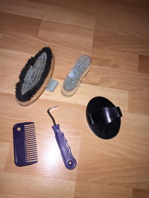 Brosses pansage