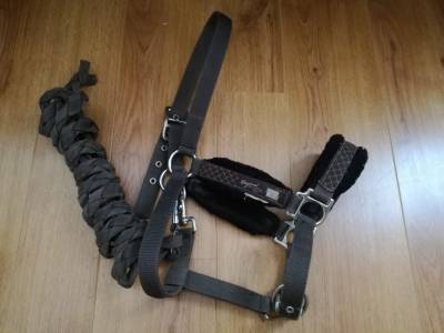 Kit licol et longe équitation Cheval et poney - Strass bleu noir