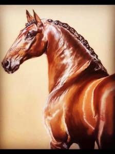 Tableau personnalisé, Horse Pilot , Cavalliera Toscana,