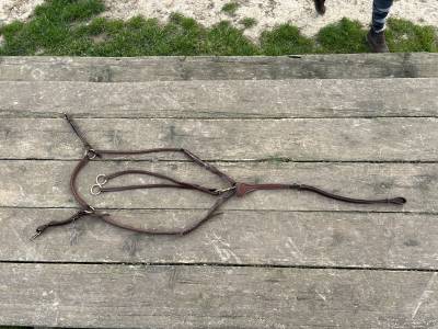 Collier de chasse (5points) 