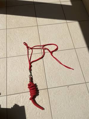 Licol en corde rouge avec longe
