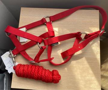 Licol+longe taille cheval
