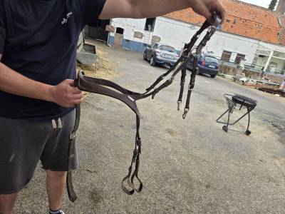 Collier de chasse Jumpin