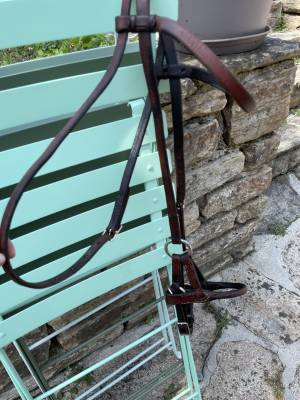 Side-Pull Schutz Brothers