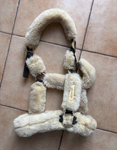 Licol KENTUCKY Total Mouton - Taille COB
