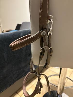 Bridon / Filet DYON - Taille Cheval - Très bon état