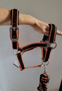 licole plus longe equitheme 