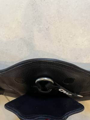 Sangle de dressage courte CWD