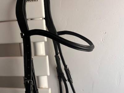 Bridon de dressage