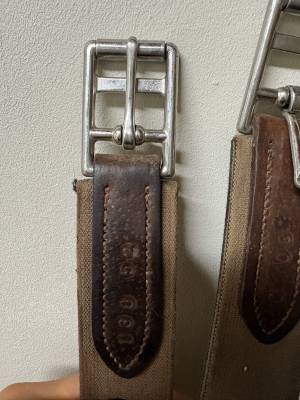 Sangle bavette mouton CWD  Sangle bavette mouton CWD