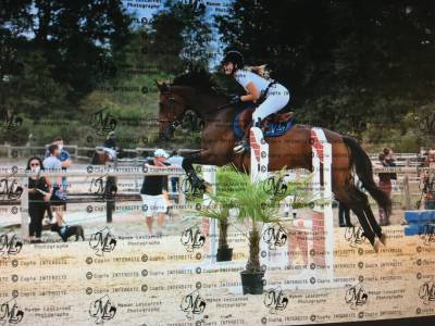 pantalon de concours équiline