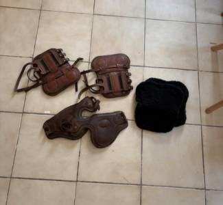 Lot protections cheval Guêtres Forestier + Protège-boul