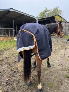 Couverture amigo bleu nuit taille 145 250gr