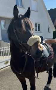 Side pool taille COB