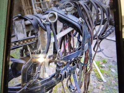 Harnais marathon en paire taille poney 