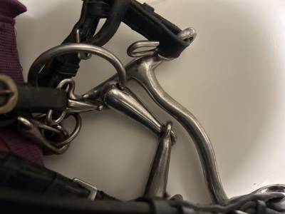 Bride complète poney 