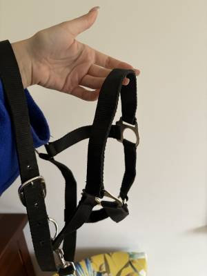 lot de 2 licols noir 