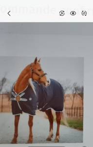 Chemise Horseware Hélix disc neuve