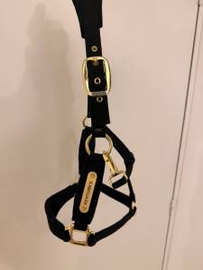 LICOL KENTUCKY VELVET