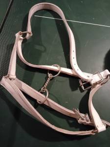 Licol cuir pour trait