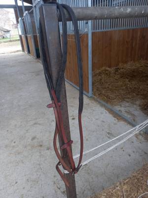 Cause double emploi vends rênes 