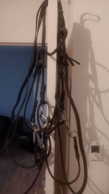 Bride cheval à vendre 