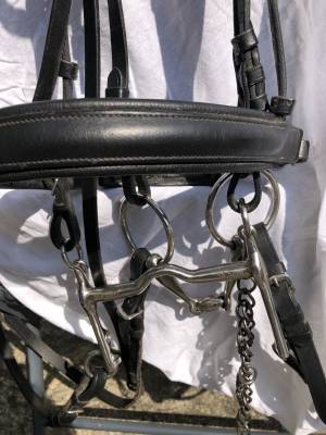 Beide de dressage aber 2 more de 14,5