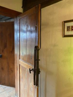 Martingale à anneaux en cuir Anglais - Très bon état