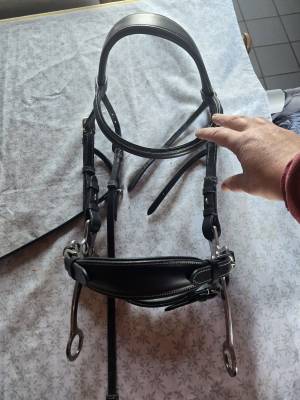 Bridon licol de randonnée biothane