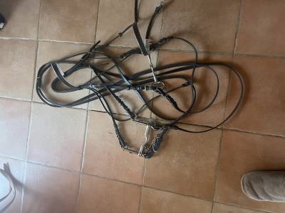 Bride dressage neuve