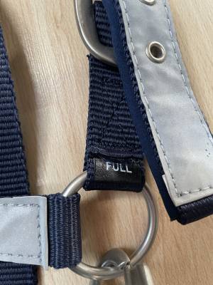 Licol réfléchissant