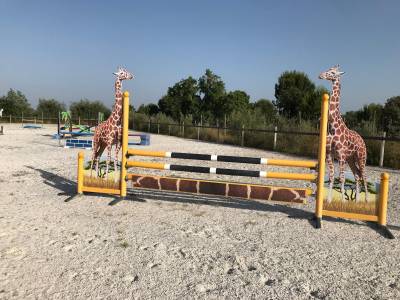 Lot d’obstacles Safari 