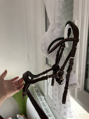 Bridon anatomique marron