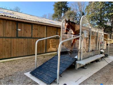 Marcheur hippocenter