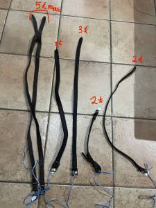 Lire texte Équitation cheval chien cuir muserole 