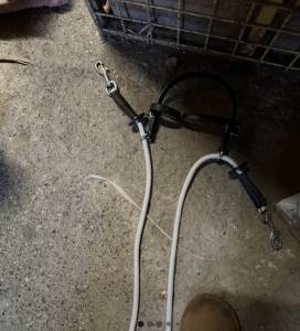 Gogue commandé avec rênes 