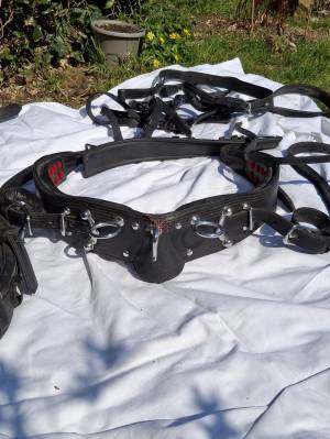 Harnais d'attelage en cuir Taille COB