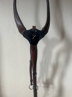 Collier de chasse antares 