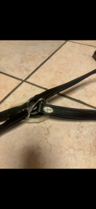 collier de chasse QHP cob noir