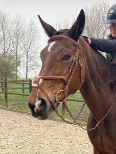 Filet butet muserolle croisée excellent état 