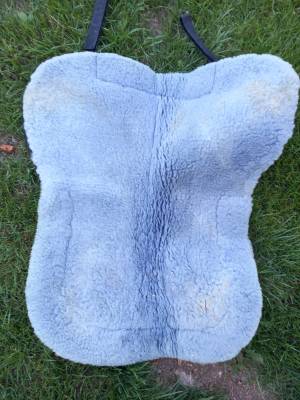 Amortisseur mouton véritable C.S.O