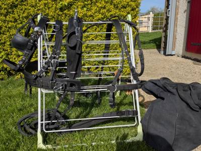 Harnais pour Attelage 