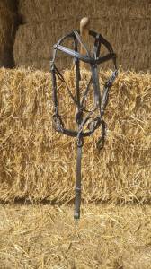 Bride Biothane Trotteur