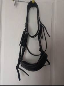 Bride de dressage + rênes 